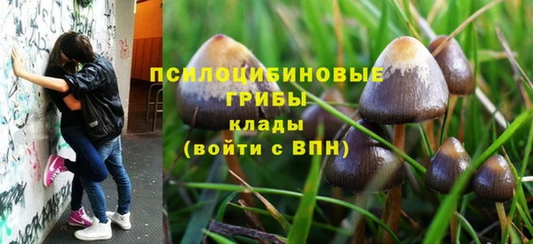 стаф Абдулино